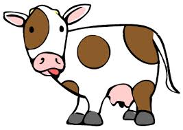 Vaca1